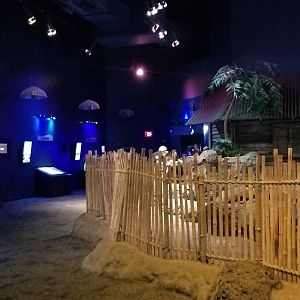 Aq of the Smokies - View back to garden eels, etc; sharks on right