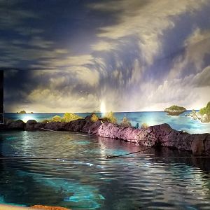 Aq of the Smokies - Large shark tank from above