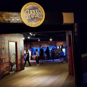 Aq of the Smokies - Curious Creatures exhibit area