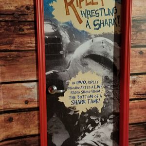 Aq of the Smokies - Curious Creatures