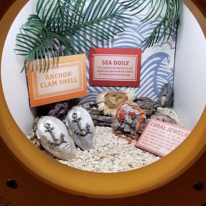 Aq of the Smokies - Curious Creatures