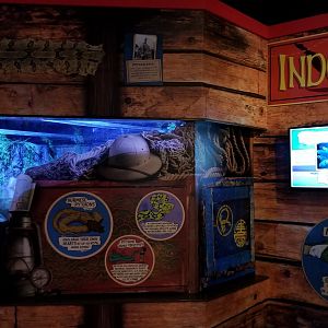 Aq of the Smokies - Curious Creatures - Burmese Python exhibit