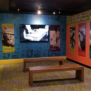 Aq of the Smokies - Curious Creatures - film area