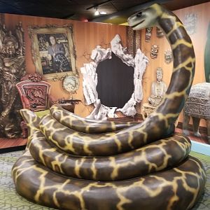 Aq of the Smokies - Curious Creatures - photo op