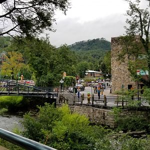 Aq of the Smokies - Gaitlinburg from outdoor penguin viewing