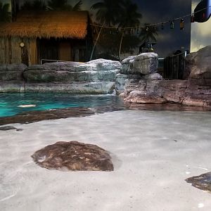 Aq of the Smokies - Touch area