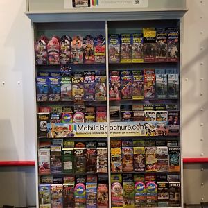 Aq of the Smokies - Things to do within a few blocks of here