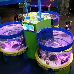 Aq of the Smokies - Discovery Center from above