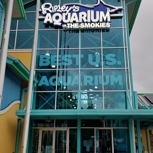 Aq of the Smokies - entrance