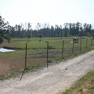 Deer exhibit - view from the owl aviaries