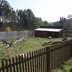 Red-necked wallaby exhibit