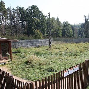 Emu exhibit