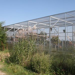 Red and green macaw aviary