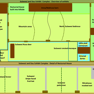Make an Exhibit for a Critically Endangered Species - Sulawesi and Siau Section
