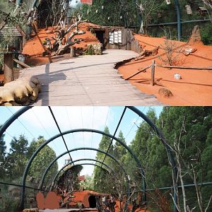 Australian walk-through aviary, 2020-09-02