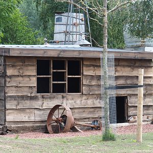 Kangaroo shelter, 2020-09-02