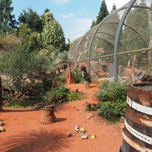 Australian area - View near Walk-through aviary, 2020-09-02