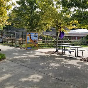 Brights Zoo - Inside entrance; Ibis exhibit