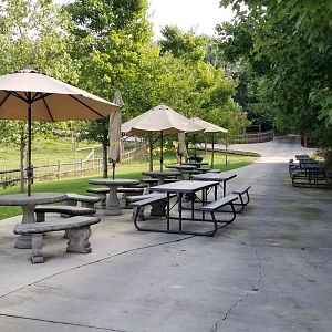 Brights Zoo - Lots of seating by Baird's Tapir exhibit