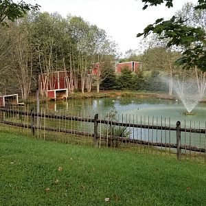 Brights Zoo - Baird's Tapir exhibit, left side