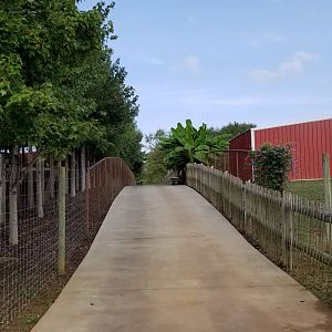 Brights Zoo - Path along left side of zoo