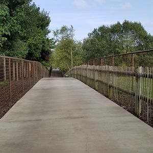 Brights Zoo - Continuation of path on left side