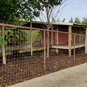 Brights Zoo - Left side of Small-clawed Otter exhibit