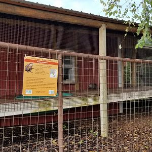 Brights Zoo - center of Small-clawed Otter exhibit