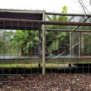 Brights Zoo - Right side of Small-clawed Otter exhibit
