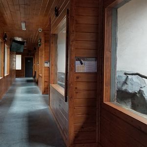 Brights Zoo - SA Building, hall (walk counter-clockwise)