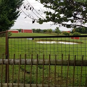Brights Zoo - Far end of Gemsbok, Waterbuck yard