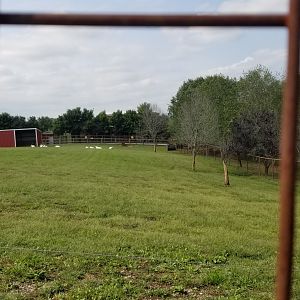 Brights Zoo - Other side of Addax yard