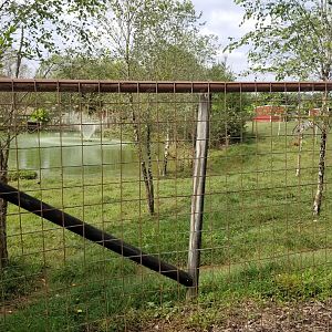 Brights Zoo - Far end of Tapir yard