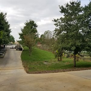 Brights Zoo - Far end of Tapir seating area
