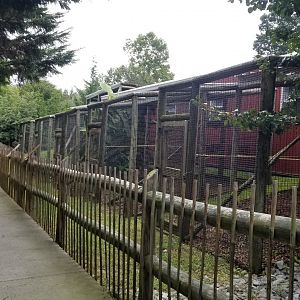 Brights Zoo - Row of empty exhibits
