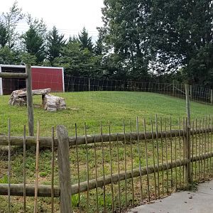 Brights Zoo - Goat feeding yard