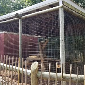 Brights Zoo - Black-backed Jackal yard