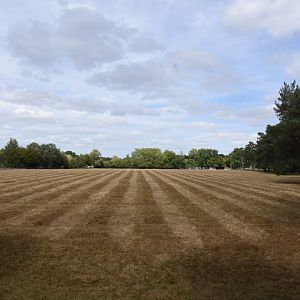 Blackbuck and Axis deer paddock