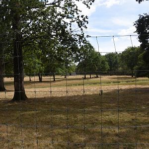 Gaur & Sambar paddock