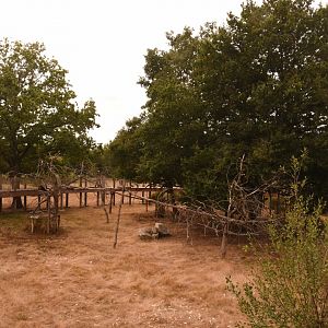 Red Panda, Reeves' Muntjac and Red-crowned Crane enclosure