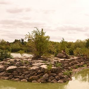 Guinea Baboon enclosure