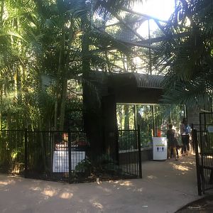 Chimpanzee Enclosure