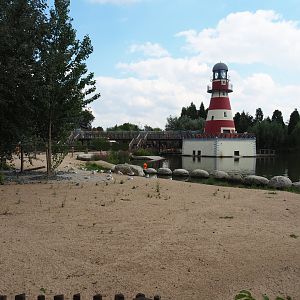African penguin and Harbor seal area with Phare de Cambron lighthouse, 2020-09-02