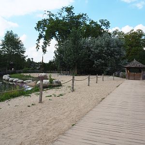 African penguin and Harbor seal walk-through area, 2020-09-02