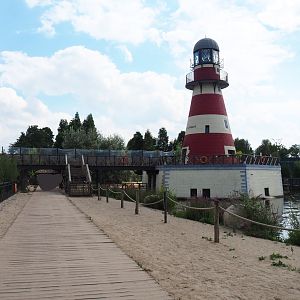 African penguin and Harbor seal area with Phare de Cambron lighthouse, 2020-09-02