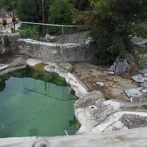 Part of the Cape fur seal exhibit, 2020-09-03