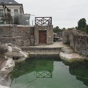 Part of the Cape fur seal exhibit, 2020-09-03