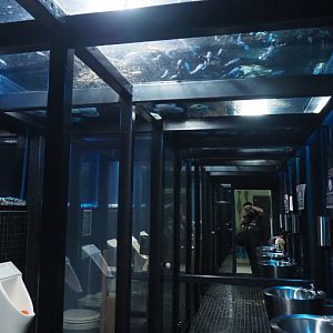 Men's restroom underneath a fish tank, 2020-09-03