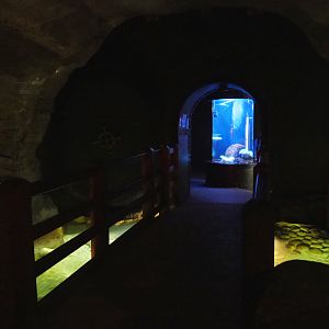 Walkway with bridge over turbot pool, 2020-09-03