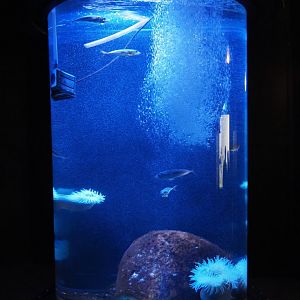 Marine cylinder tank, 2020-09-03